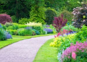 Diseño paisajistico