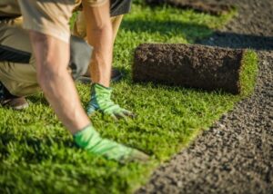 Colocacion de cesped